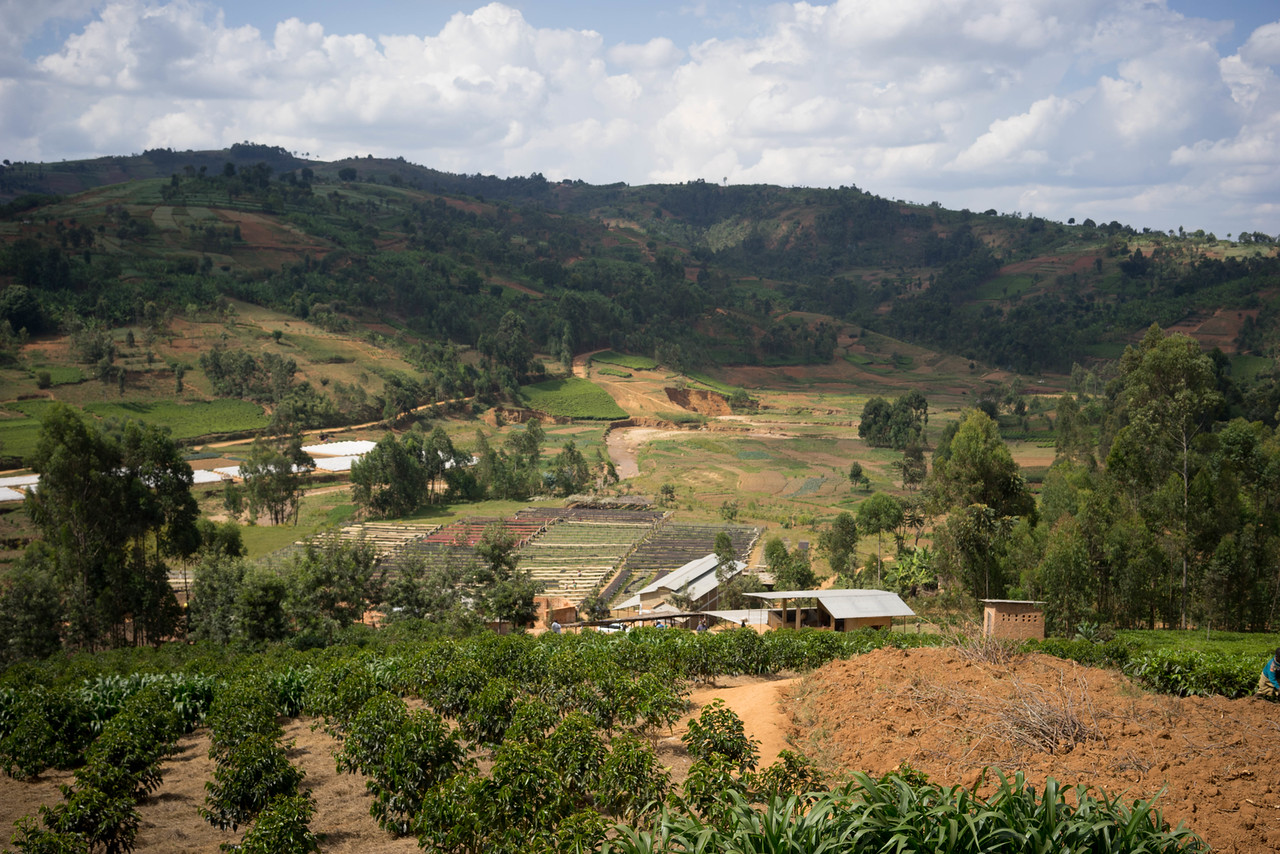 coffee farm Burundi