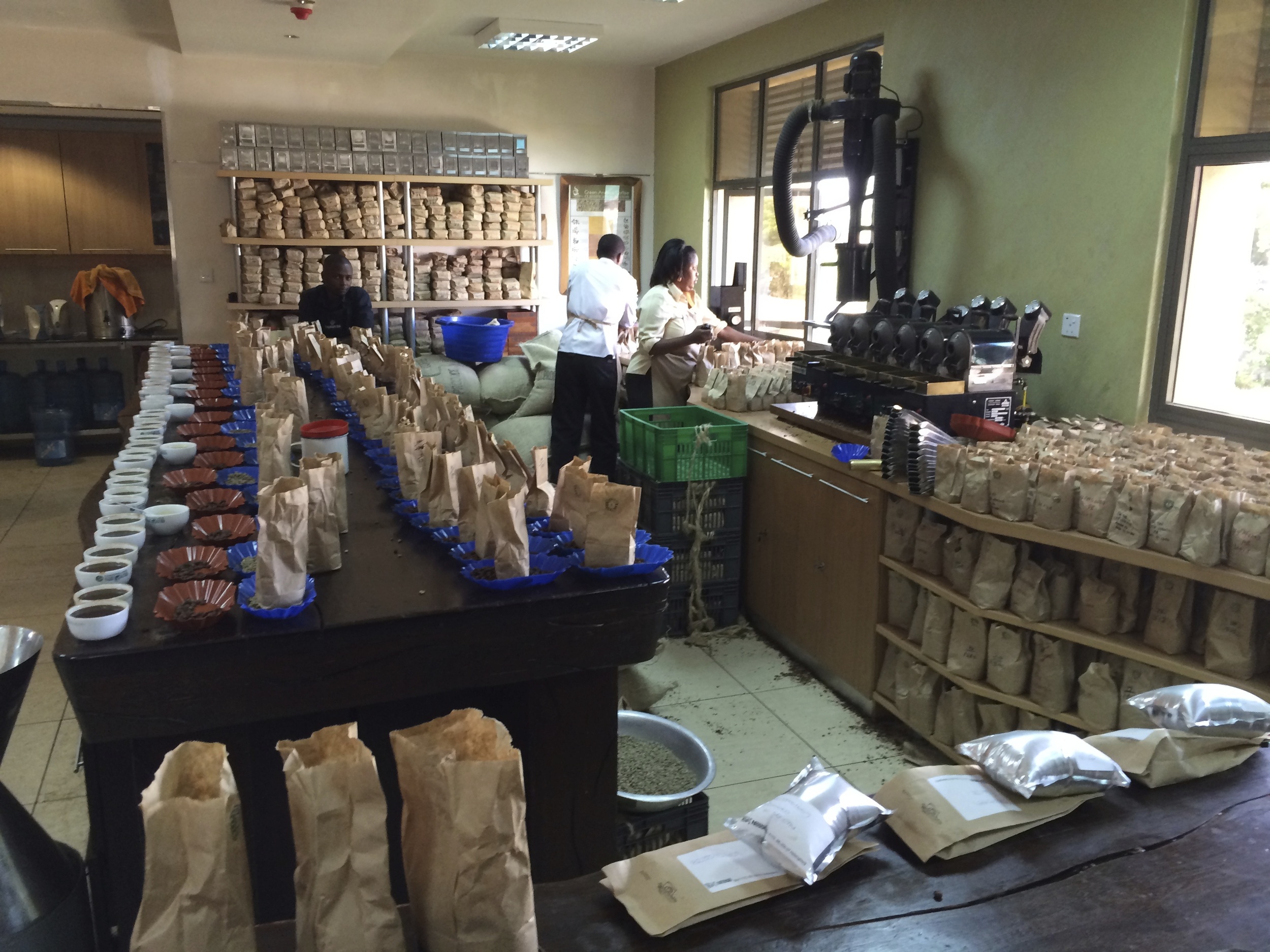 Coffee samples Kenya