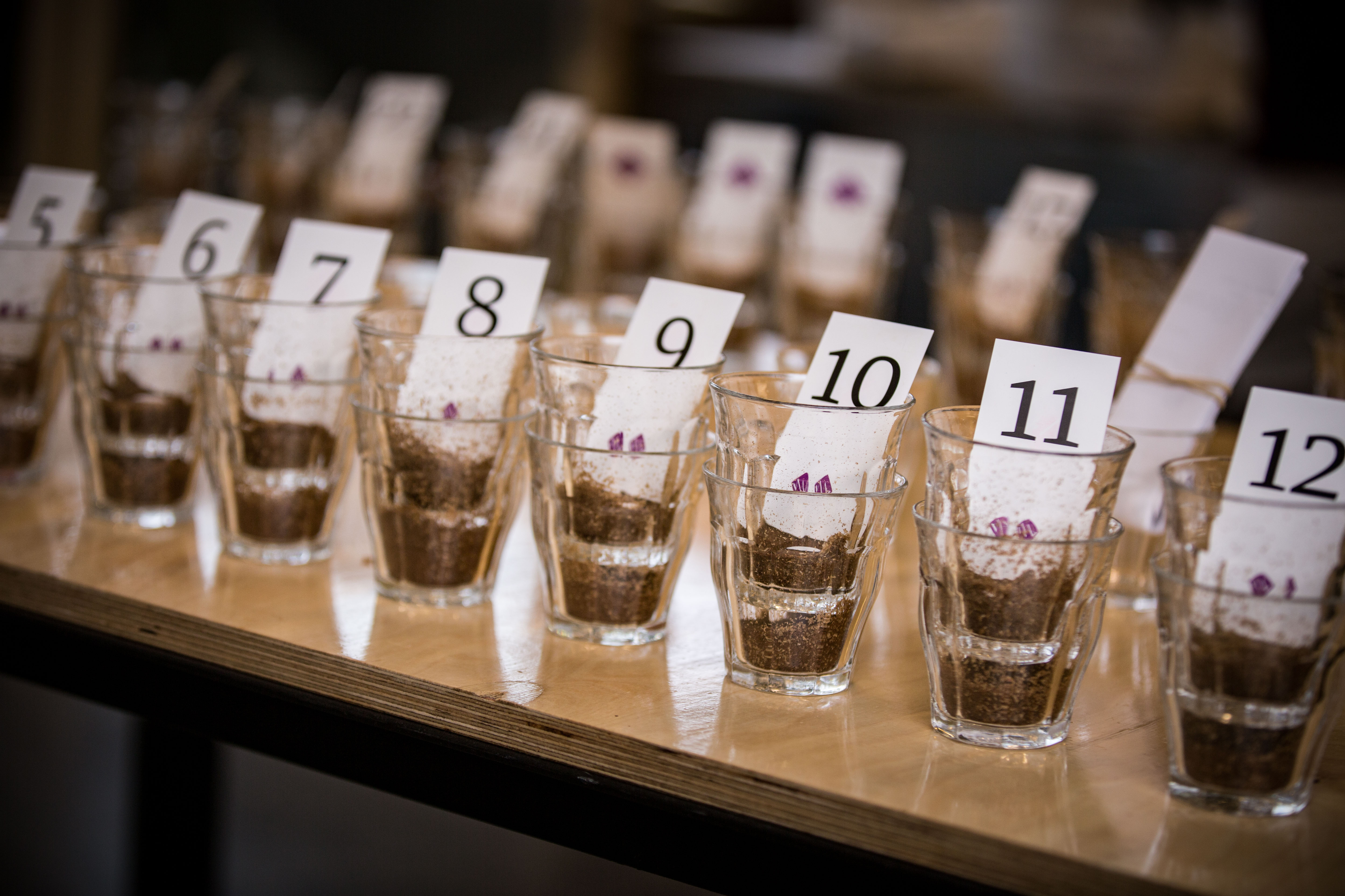 cupping coffee at our Nordic Approach headquarters in Oslo