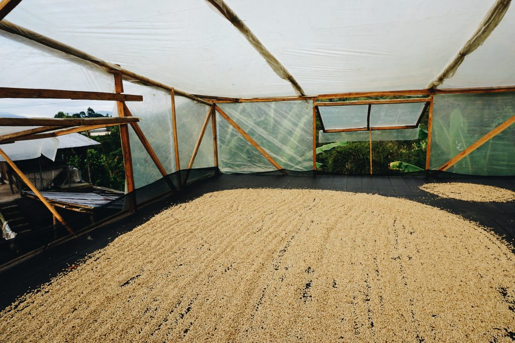Coffee sorucing in Colombia with Nordic Approach