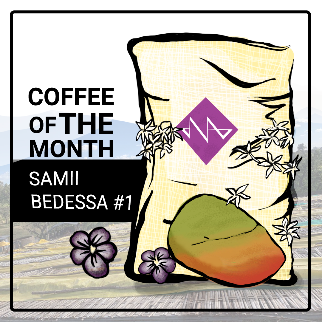 Coffee Of The Month - Samii Bedessa 1