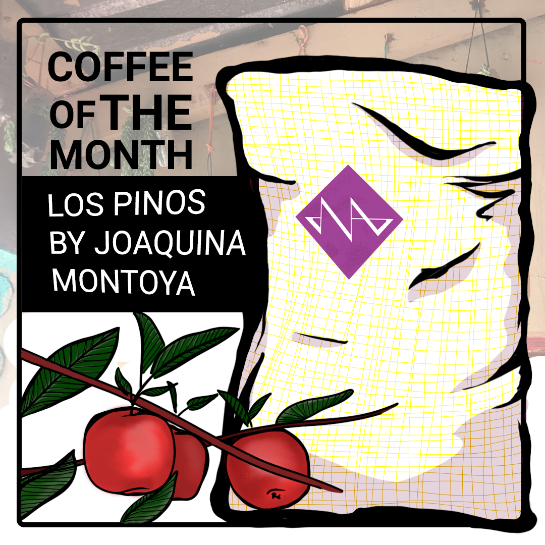 Coffee of the month - Honduras Los Pinos - Joaquina Montoya
